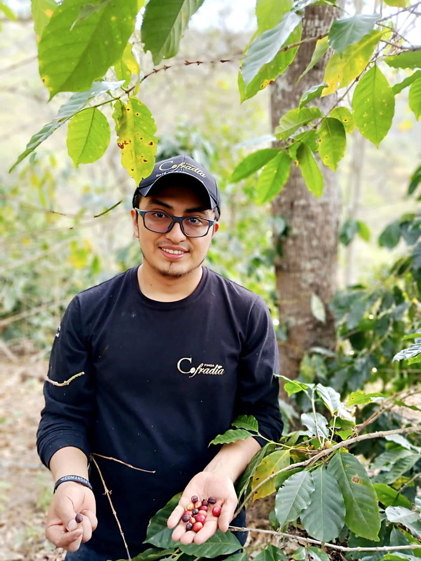 Typica National Washed Anaerobic