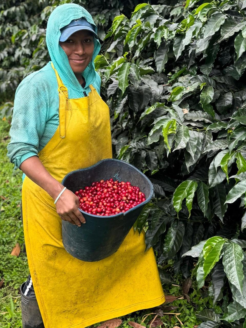 Sidra Honey