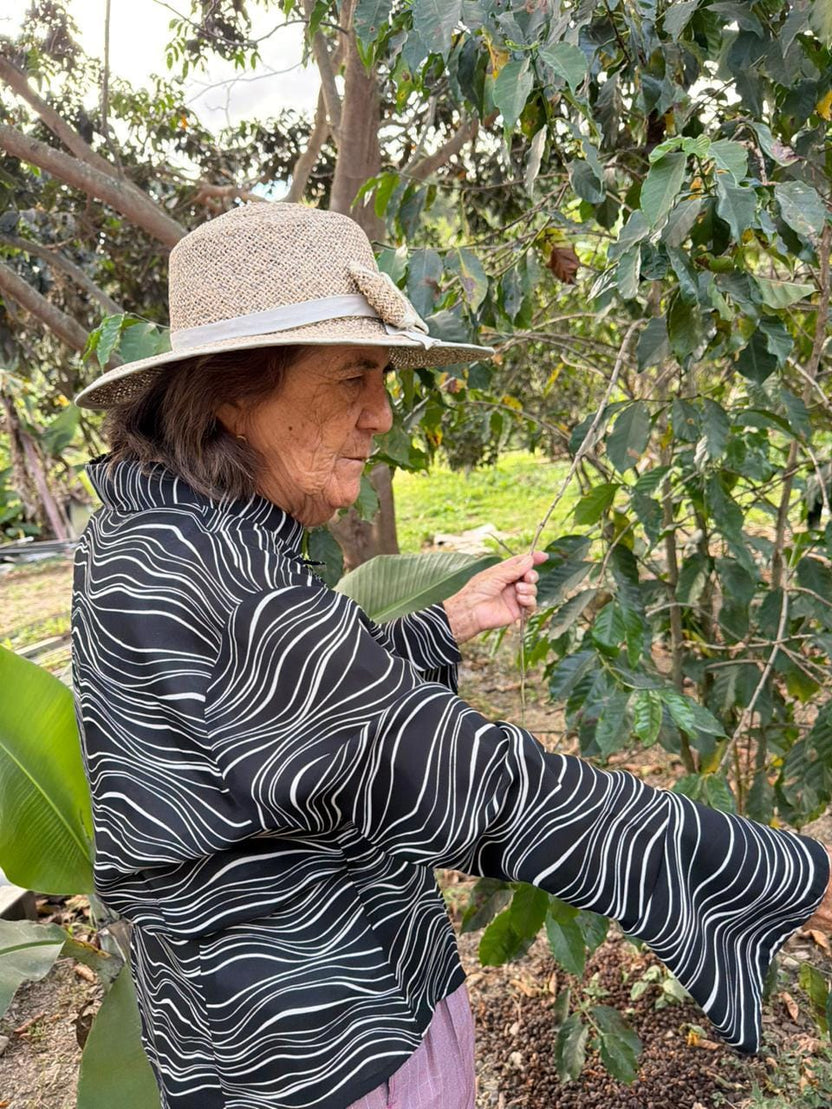 Sidra