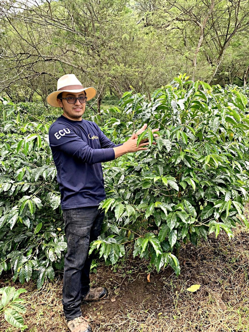 Typica National Washed Anaerobic