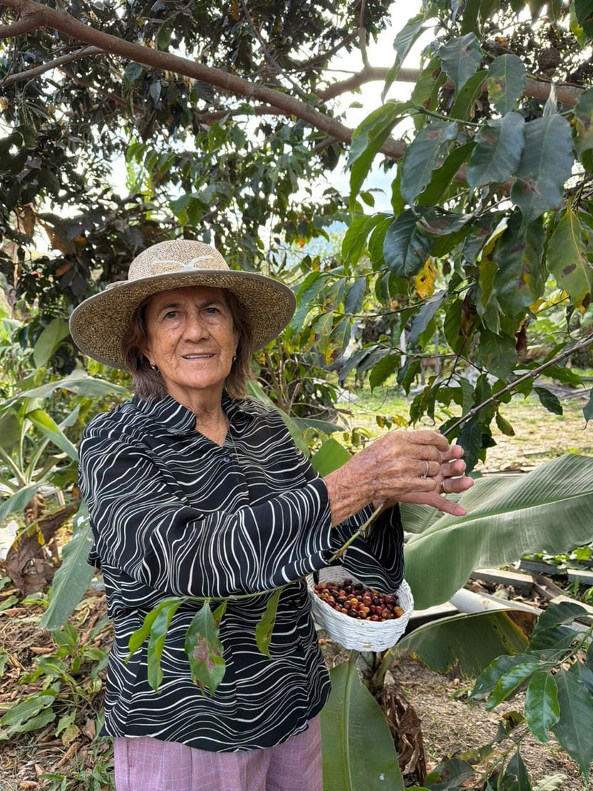 Sidra