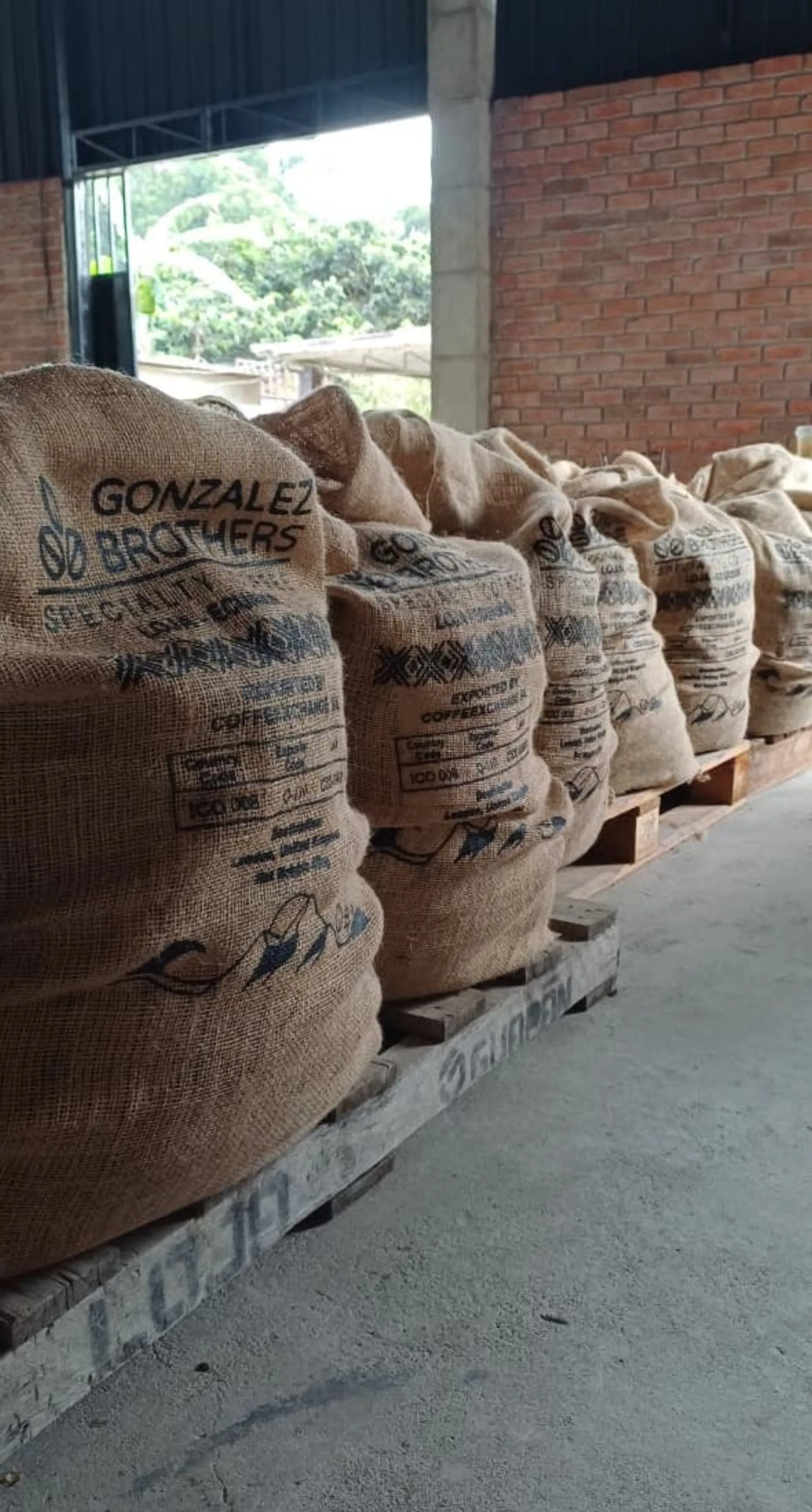 Coffee farmer with harvest basket