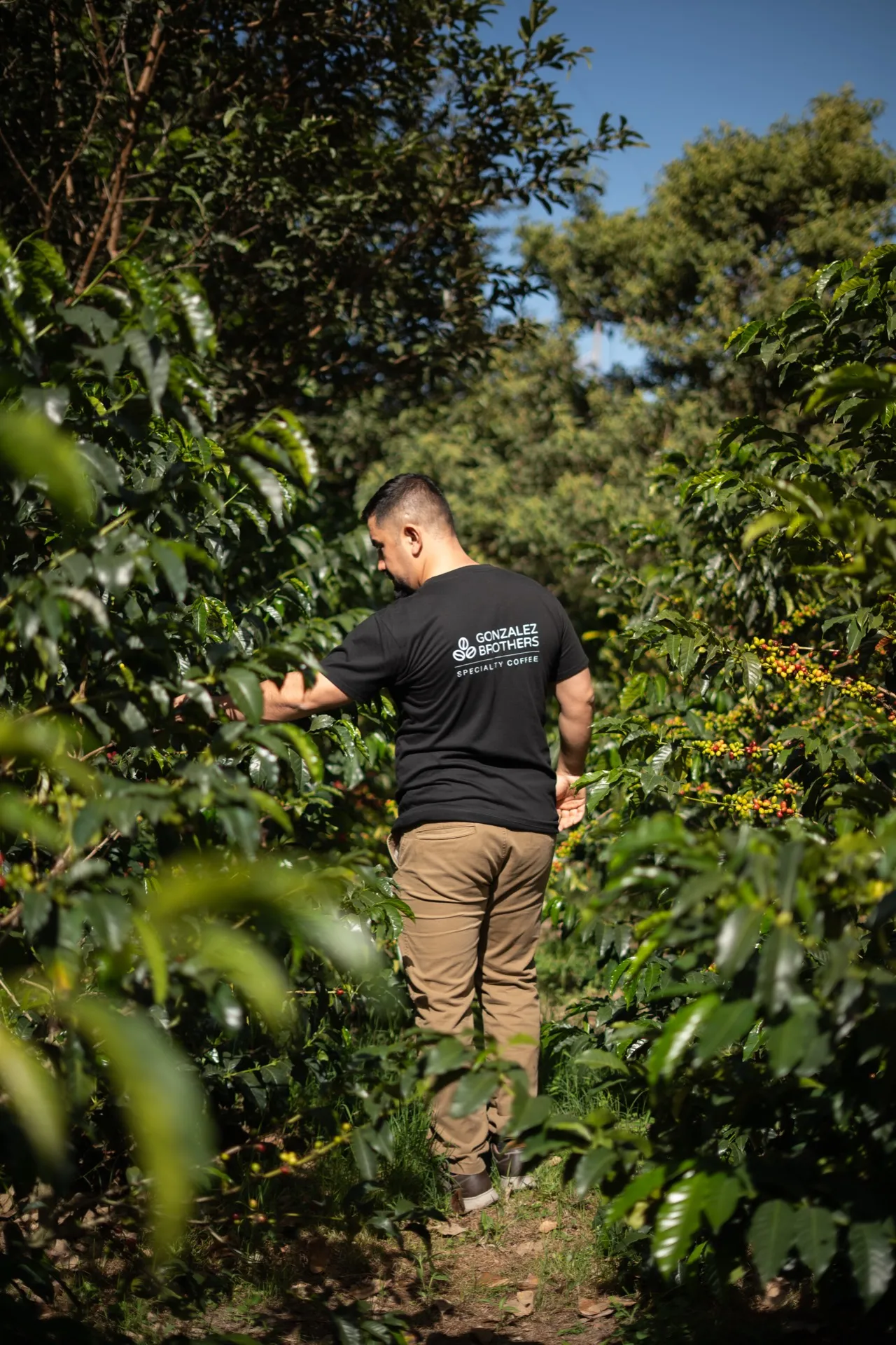 A Gonzalez Brothers founder walking a coffee farm path in Loja, Ecuador